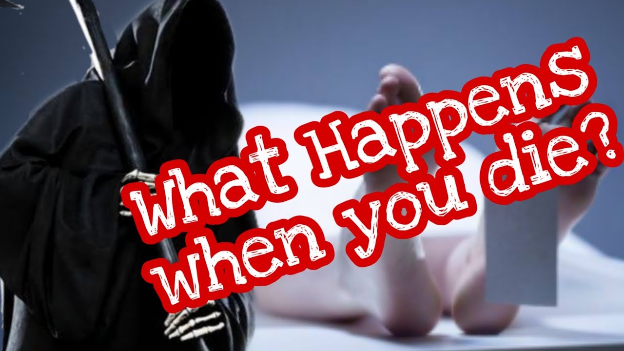What Happens When You Die YouTube