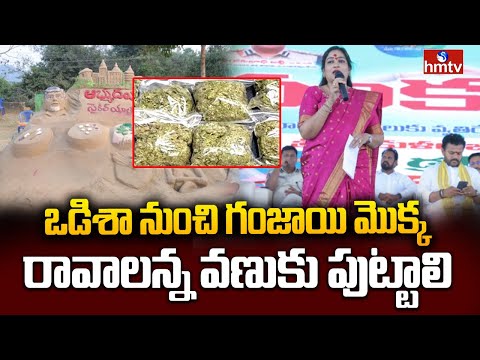 ఒడిశా నుంచి గంజాయి మొక్క రావాలన్న వణుకు పుట్టాలి |Home Minister Vangalapudi Anitha | hmtv