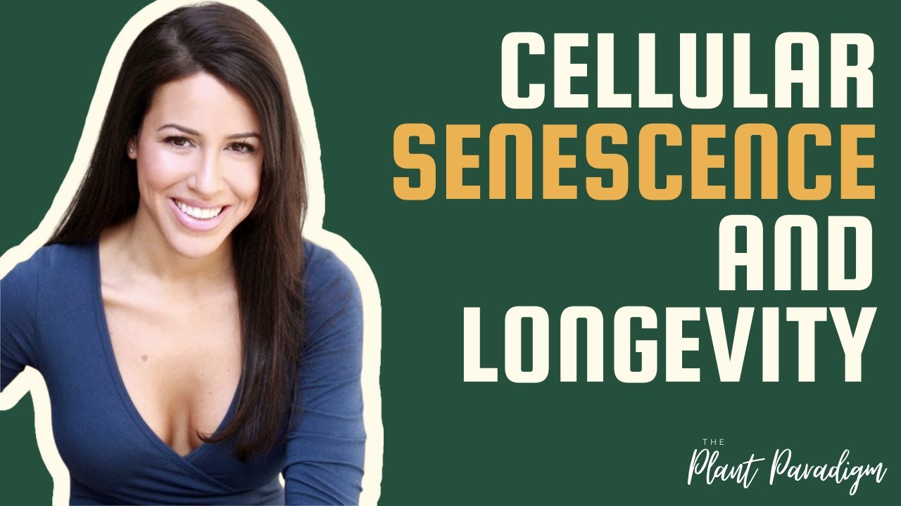 How To Live Healthier & Longer ft. Erin Sharoni