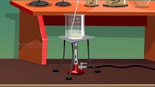 Detection of Starch in Food Samples - MeitY OLabs