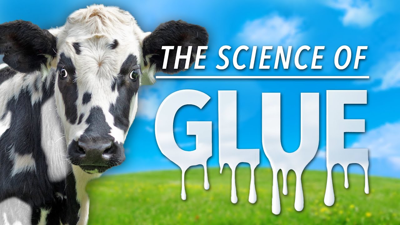 Does Glue Really Come From Animals? - Random Theory EP. 109
