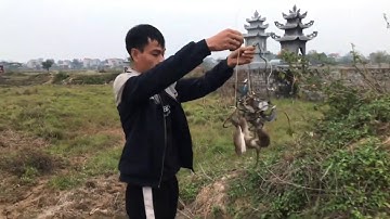 Bẫy CHUỘT ĐỒNG bằng cạm kiềng 9cm đơn giản như thế nào
