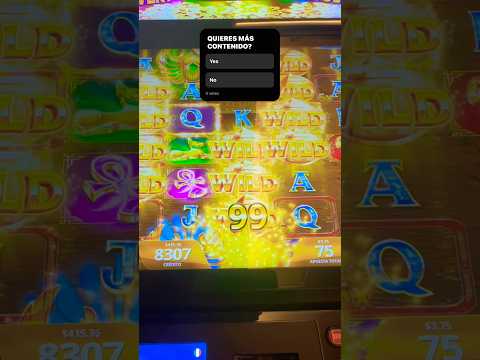 GOLDEN BOOK CASINO SLOTS BONUS HUNTER / GO BET 🔥🔥 رعبه البونيس