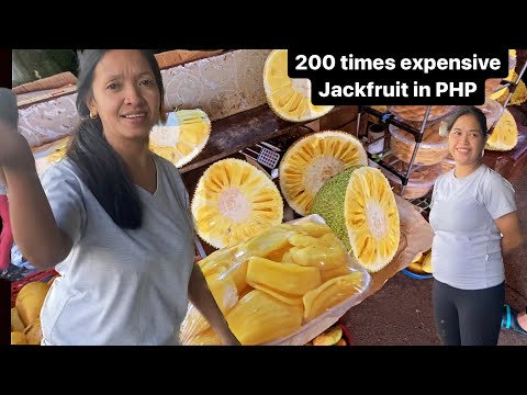 How Much Is Jackfruit In The Philippines