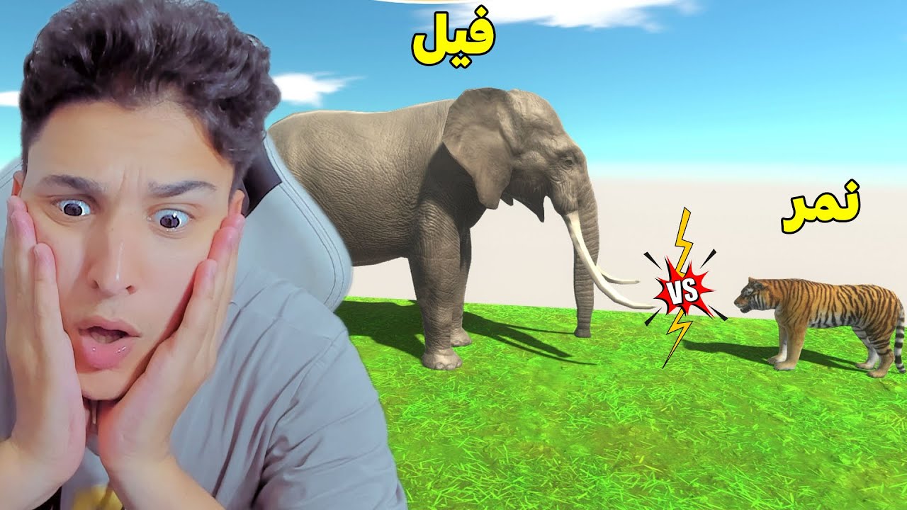 معركة بين النمر والفيل العملاق تفتكر مين يكسب !!