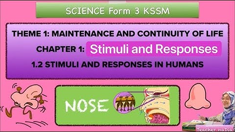 SCIENCE KSSM F3C1: 1.2 Stimuli and Responses in Humans (NOSE)