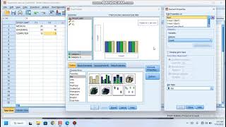 Celebrity How to Draw Bar chart on SPSS statistics| Bar chart|Multiple bar chart| bar graph on SPSS|Urdu Net Worth
