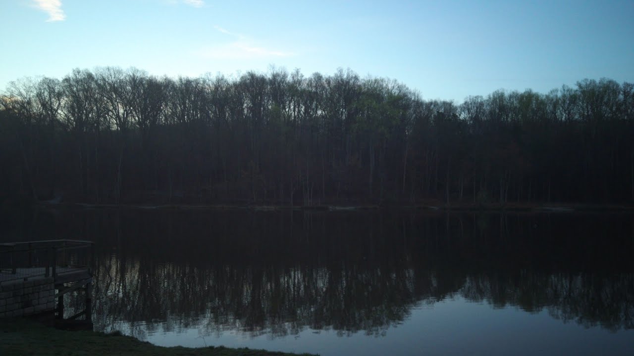 Johnathan W. Davies - Up There 4k