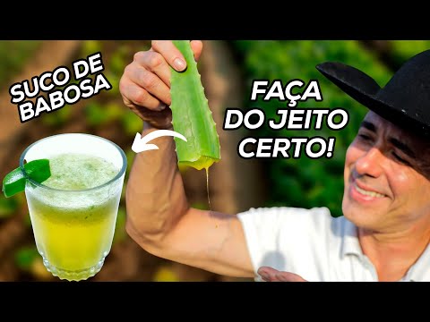 SE EU FOSSE VOCÊ COMEÇARIA A TOMAR SUCO DE BABOSA HOJE! | Dr Dayan Siebra