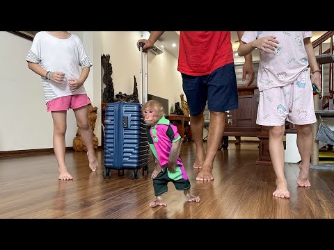 Bibi Prepares Clothes For A Vacation At The Villa