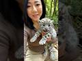 🐆 Baby white leopard jungle selfie 😱 Would you pet it? #animals #leopard ard