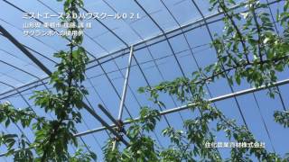 ミストエース２０ハウスクール０２Ｌ 住化農業資材㈱