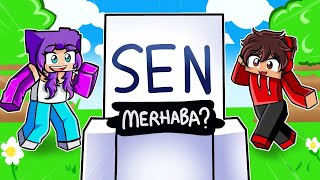 SENN ARTIK BR SESN VAR - Minecraft