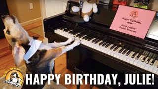Happy Dog Plays Piano For Fan Club Friend Julie!