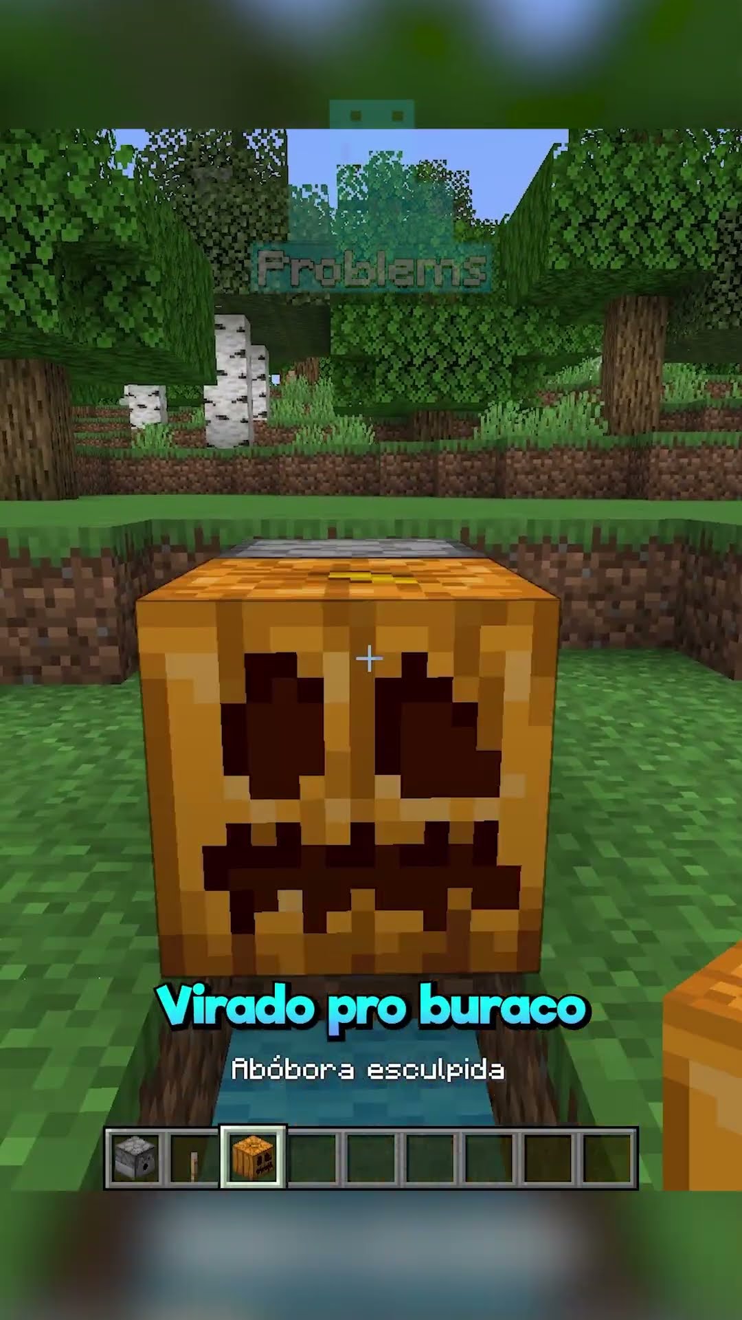 Técnica secreta do Minecraft