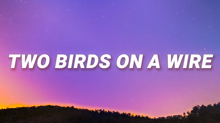 Regina Spektor - Two Birds On a Wire (Lyrics)