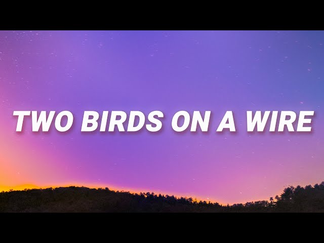 Regina Spektor - Two Birds On a Wire (Lyrics) class=