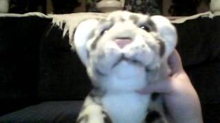 My Personal Stufed Animals