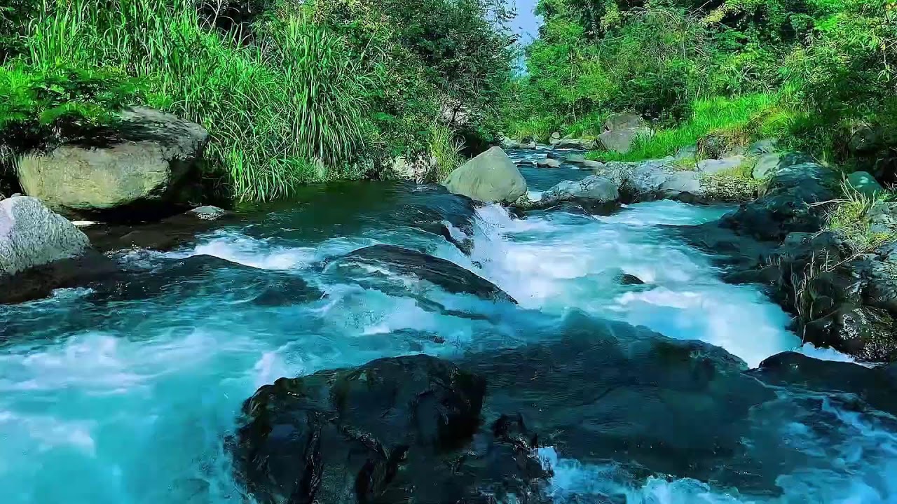 Mountain Stream Water Flow Audio, Forest River, Sleep