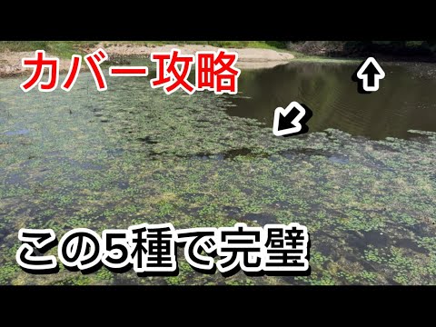 【バス釣り】カバー攻略に必須のルアー5選