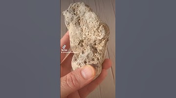 Giving fossils an acid bath! #rocks #rockhound #thefinders #fossil #geology