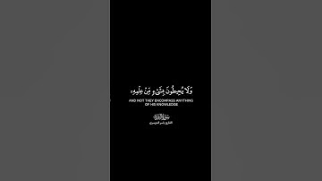 الله لا إله إلا هو الحي القيوم شاشة سوداء|كرومات قرآن كريم بصوت#ياسر_الدوسري|#آية_الكرسي#سورة_البقرة