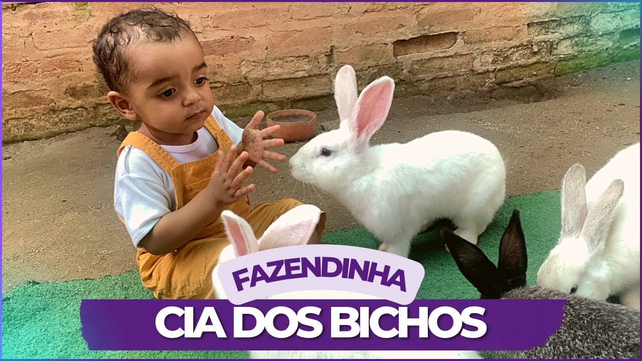 FAZENDINHA CIA DOS BICHOS - COTIA SP | DANIELA BELO