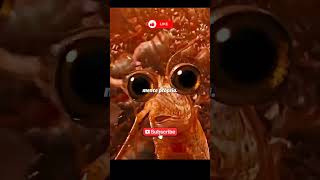 O Que Acha Disso ? Filme Happy Feet Two