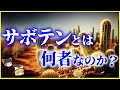 【ゆっくり解説】実に合理的…⁉「サボテン」とは何者なのか？ を解説/サボテンの種類と多肉植物との違いとは？育て方、花言葉も