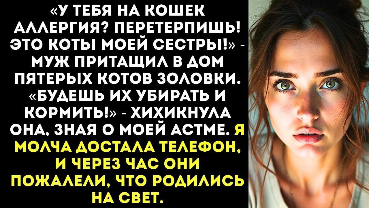 Муж и золовка притащили в мой дом 5 котов «У тебя аллергия Это твои проблемы!»