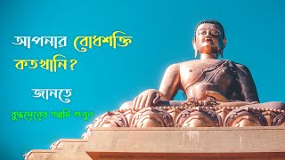 বোধশক্তি কি? | সঠিক জ্ঞান অর্জন | How to level up right knowledge?