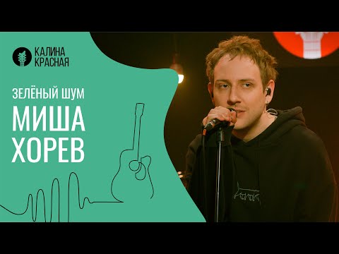 Зеленый шум. Миша