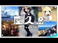 【屋久島】ハプニング連発！予想外だらけの鹿児島珍道中【vlog前編】