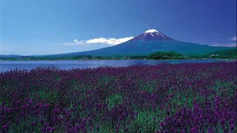 تلاوة طيبة تلامس الفؤاد راحه تغمر القلوب