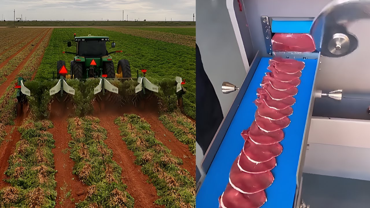 Modern Farming Tech: Harvesting and Processing Food Faster Than Ever