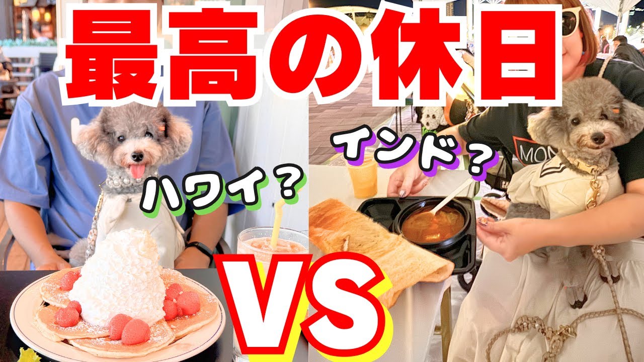 【ハーバードッグマルシェ】愛犬と神戸ハーバーランドに行ったら、ハワイとインドに行けちゃった日が最高すぎた！