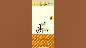 Save The Dog level 207