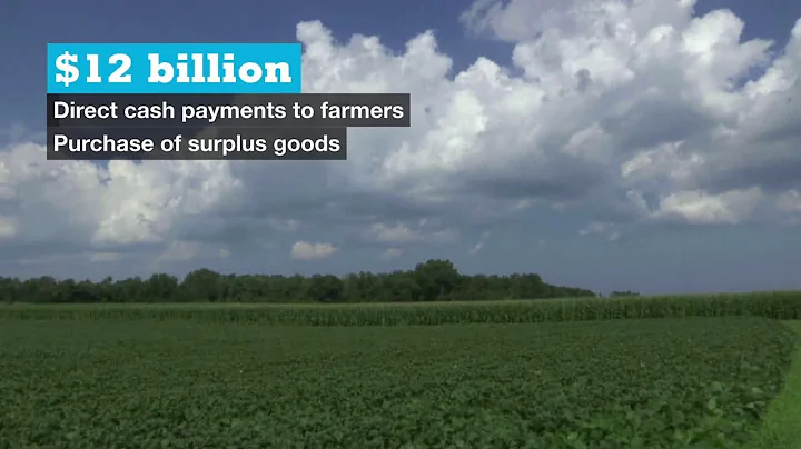 US to pay billions in aid to farmers hit by Trump trade war