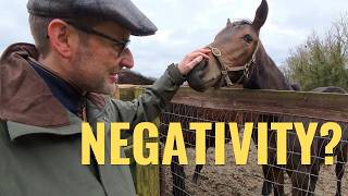 My Quiet Life; how do I deal with negativity? screenshot 4