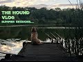  carp fishing summer sessions with dean watson  henry the carp hound