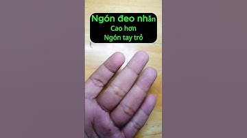 Ngón đeo nhẫn cao hơn ngón tay áp út  #nhântướnghọc #nhântướngphụnữ  #phongthuy  #tướngsố #chitay