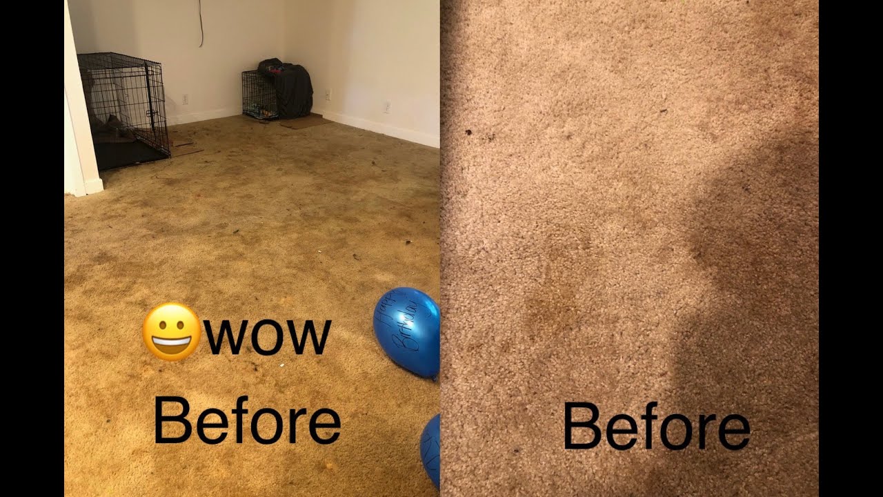 Low Moisture Carpet Cleaning, Edmonds Wa, S.E.T.T., Soil Extraction