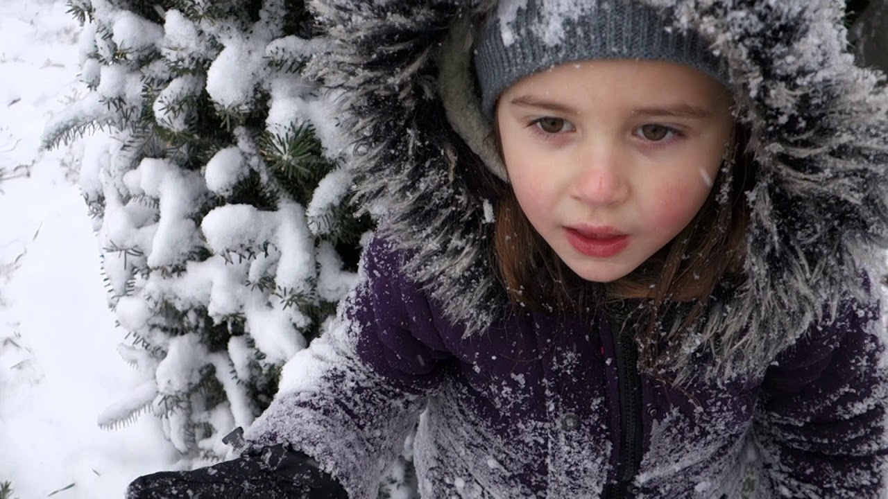 Finding a Christmas Tree Bells Christmas Trees, Accord, NY YouTube
