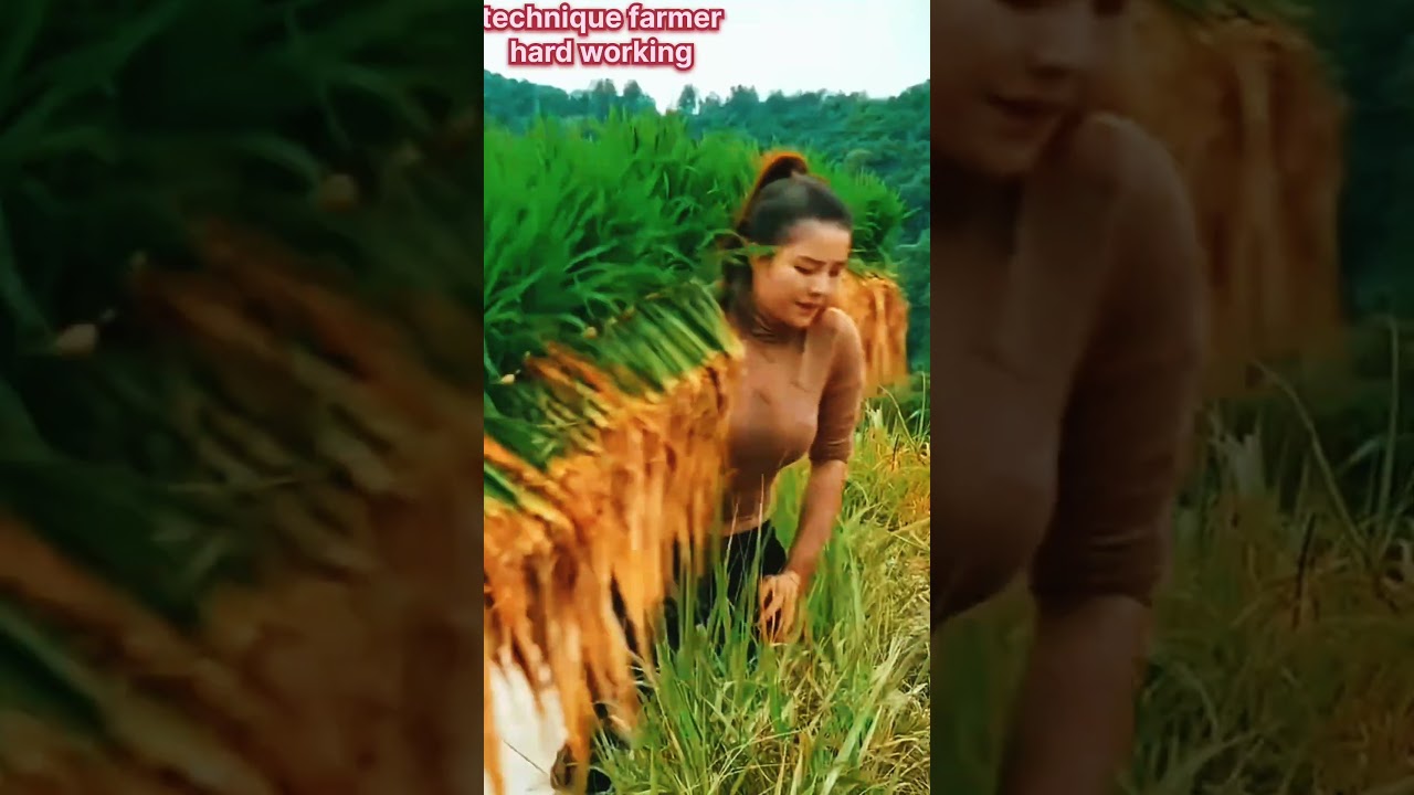 hardworking in farming  