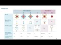Blood Groups (ABO, Rh Classification) All concepts From Basics