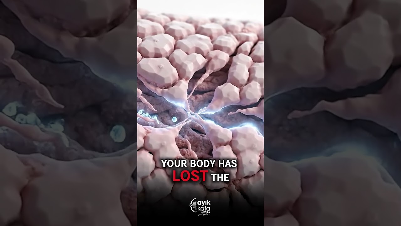 TARGETING THE SOURCE OF YOUR BODY’S NITRIC OXIDE DECLINE