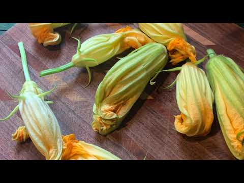 Zucchini Flowers Stuffed