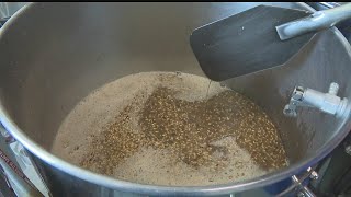 Brewery preparing special blueberry oatmeal beer for breast cancer fundraiser