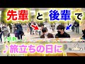 【卒業】「旅立ちの日に」を先輩と連弾したら感動に包まれた...【二子玉川ストリートピアノ】