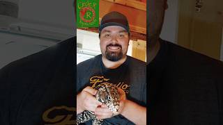 The Dangers of Keeping Reptiles #funny #reptiles #ballpython